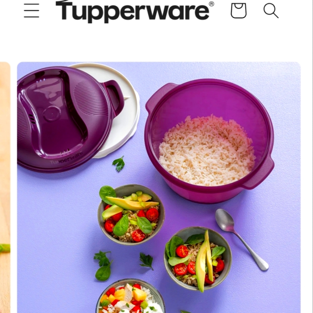 Tupperware Microwave Rice Maker *used*